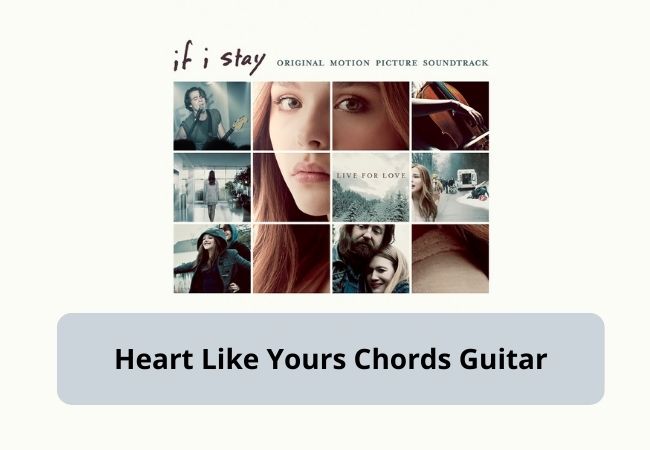 Catch The Wind Guitar Chords (The Simplest) Catch The Wind Guitar Chords (The Simplest)