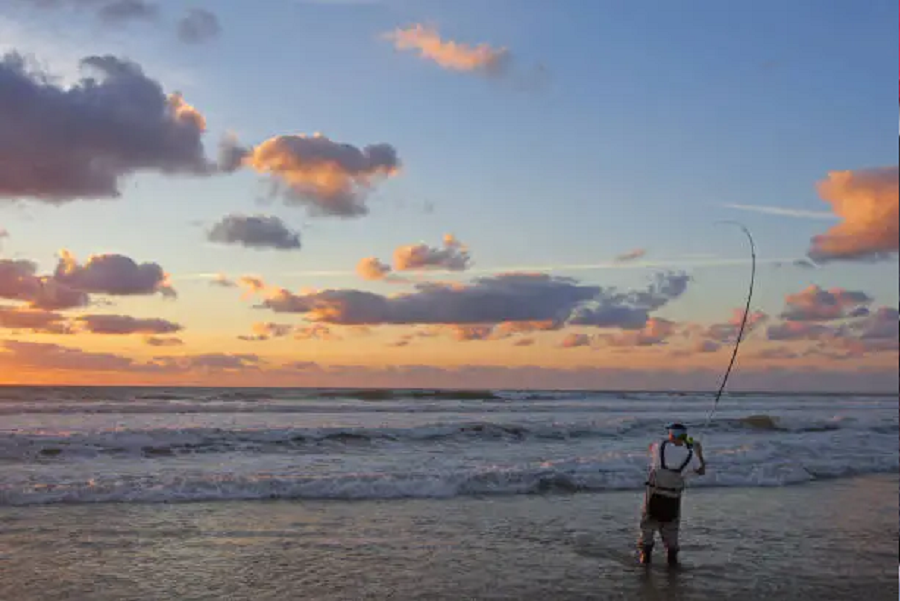 When Is The Best Time To Surf fish? When Is The Best Time To Surf fish?