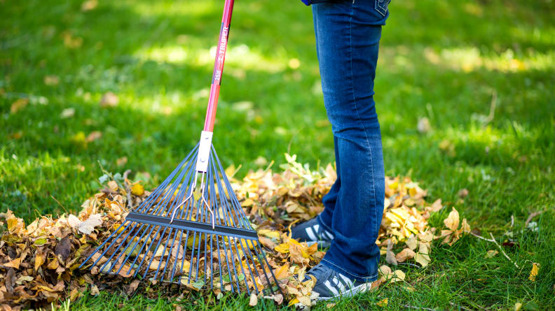 Best Rake For Sticks : Review And Buying Guide Best Rake For Sticks : Review And Buying Guide