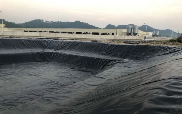 Sử dụng bạt HDPE làm bạt lót hồ nuôi tôm