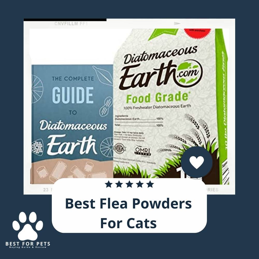 8 Best Flea Powders For Cats in 2022
