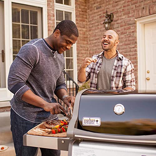 Weber Spirit E-210 Review: Our Favorite 2 Faucet Gas Grill Weber Spirit E-210 Review: Our Favorite 2 Faucet Gas Grill