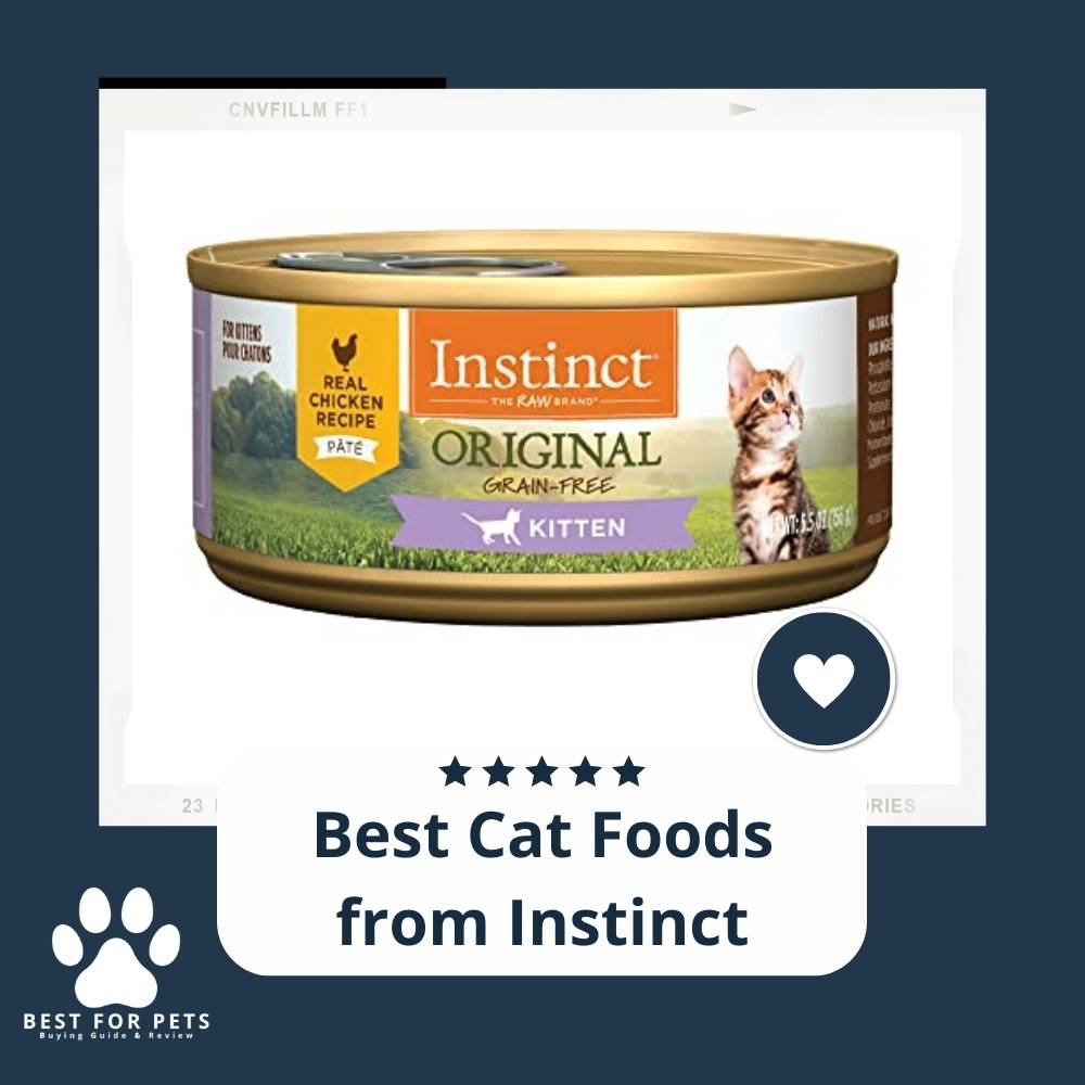 15 Best Cat Foods from Instinct in 2022