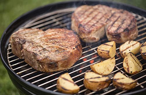 The 5 Best Weber Gas Grill For Beginners of 2023 The 5 Best Weber Gas Grill For Beginners of 2023