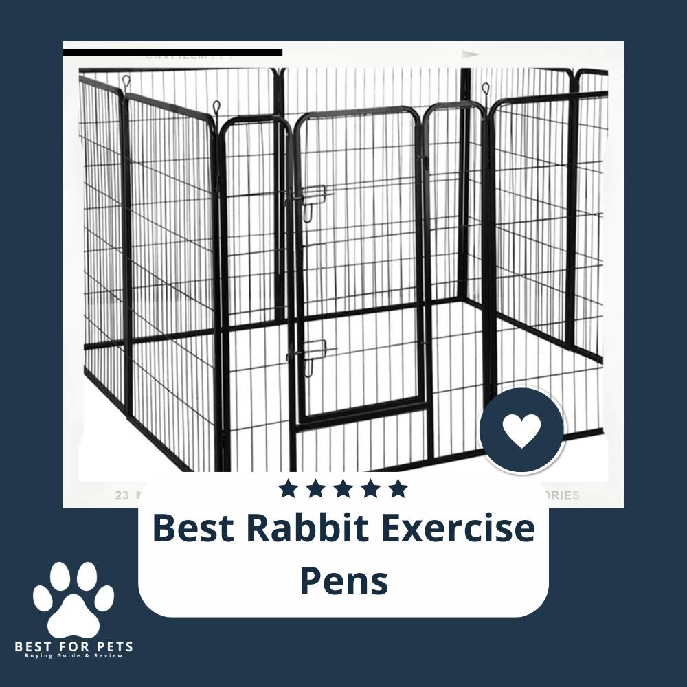 The 11 Best Rabbit Exercise Pens of 2023