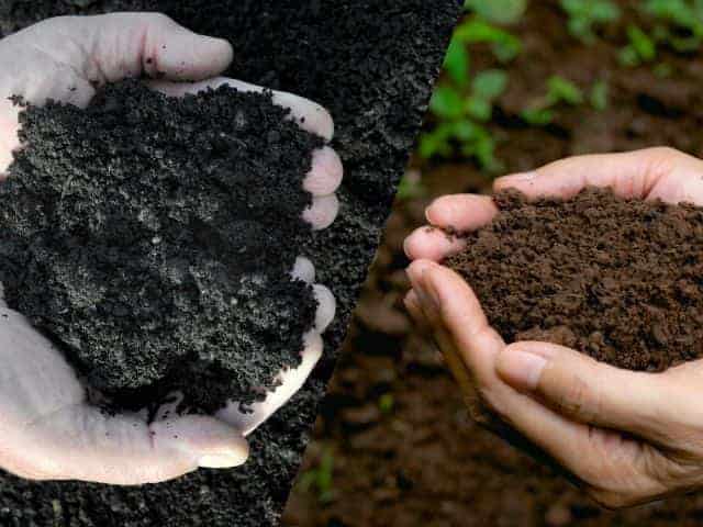 Soil Conditioner vs Compost Soil Conditioner vs Compost