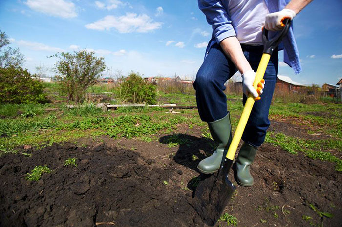 Best Tool For Digging In Clay Of 2022 Best Tool For Digging In Clay Of 2022