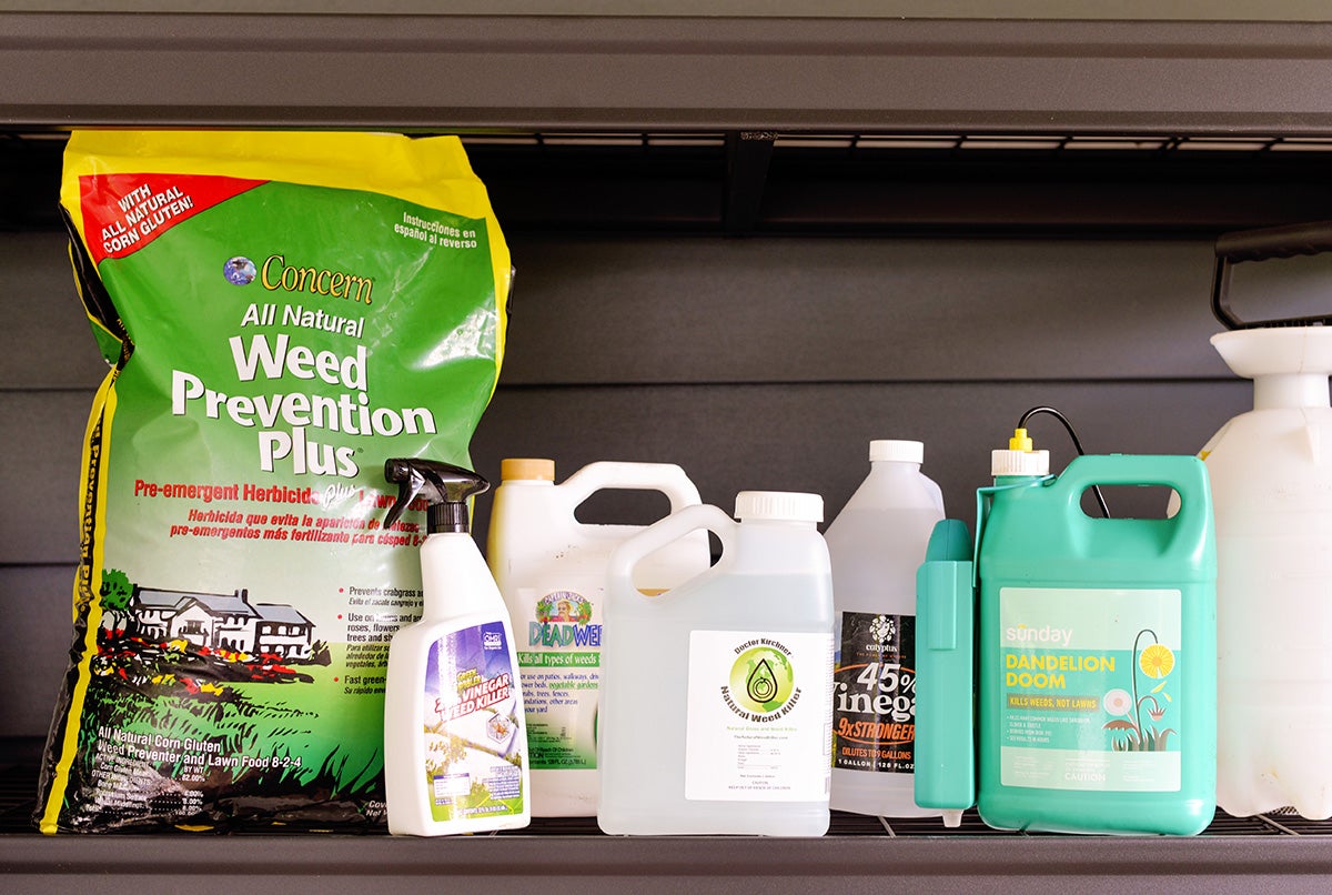 The Best Weed Control For Grass: 2022 List The Best Weed Control For Grass: 2022 List