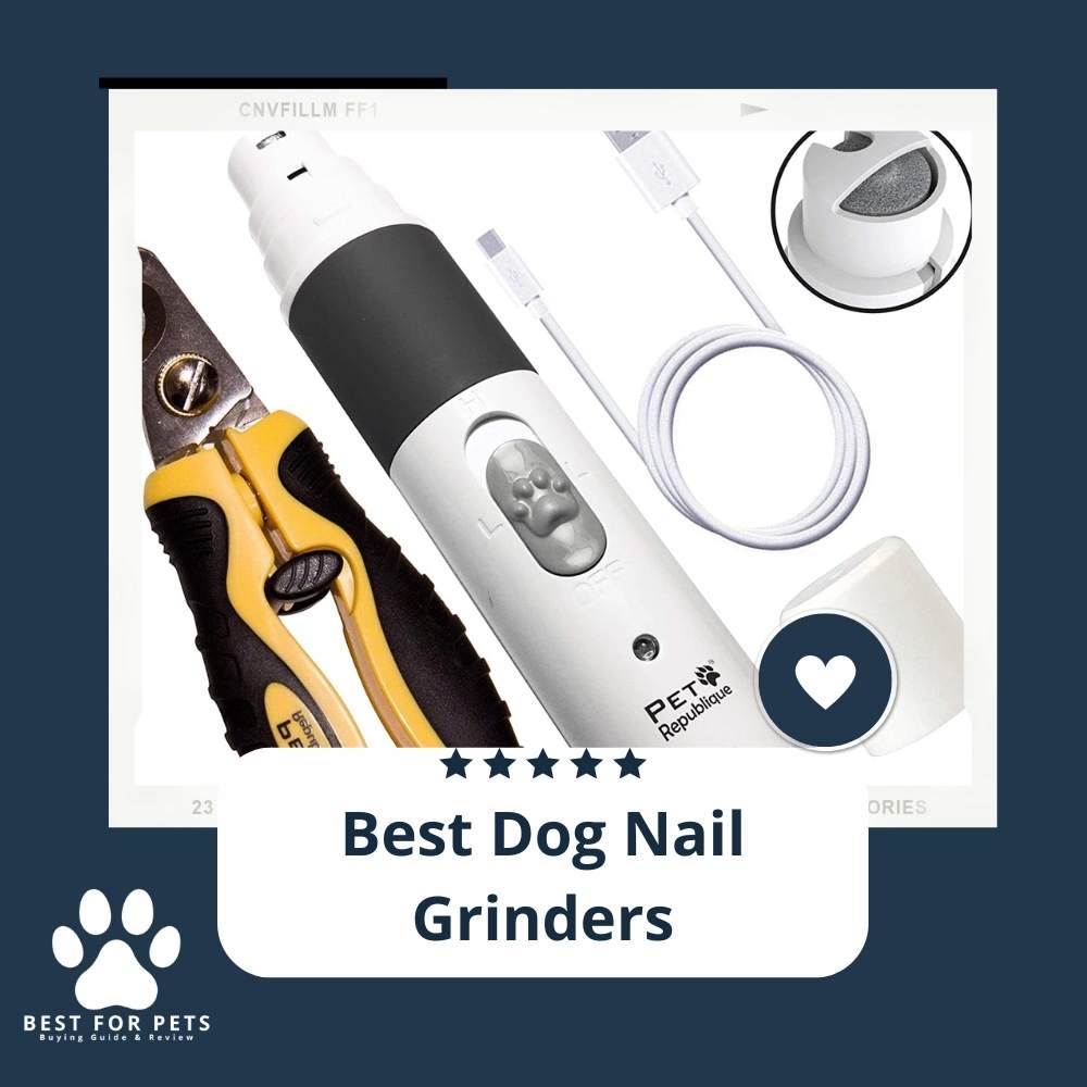 The 10 Best Dog Nail Grinders of 2023