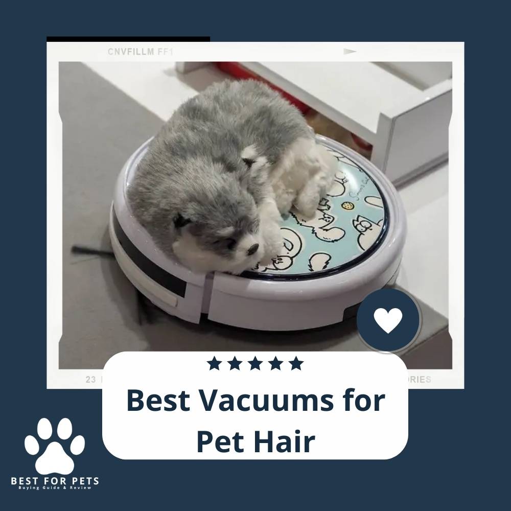 15 Best Vacuums for Pet Hair in 2022 15 Best Vacuums for Pet Hair in 2022