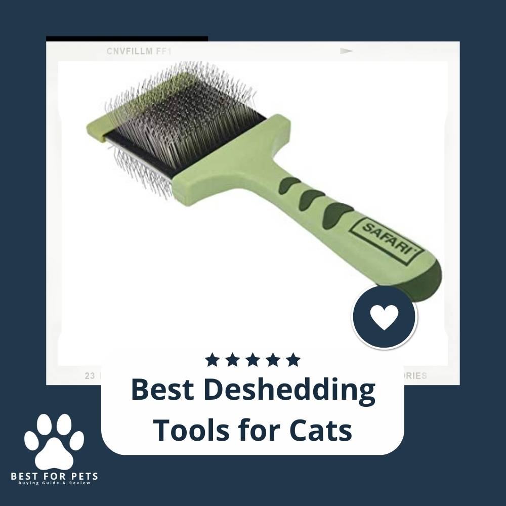 The 14 Best Deshedding Tools for Cats of 2022