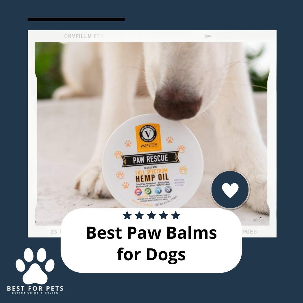The 8 Best Paw Balms For Dogs Of 2023 paw-balm-bundle-rust