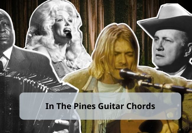 In The Pines Guitar Chords | Janel Drewis In The Pines Guitar Chords | Janel Drewis