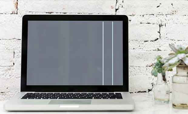 How Far Can You Drop A Laptop? How To Fix A Dropped Laptop? How Far Can You Drop A Laptop? How To Fix A Dropped Laptop?