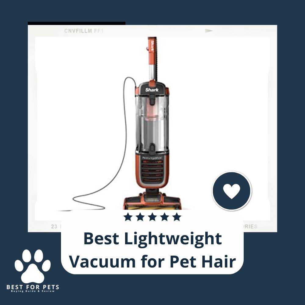 15 Best Lightweight Vacuums for Pet Hair in 2022 15 Best Lightweight Vacuums for Pet Hair in 2022