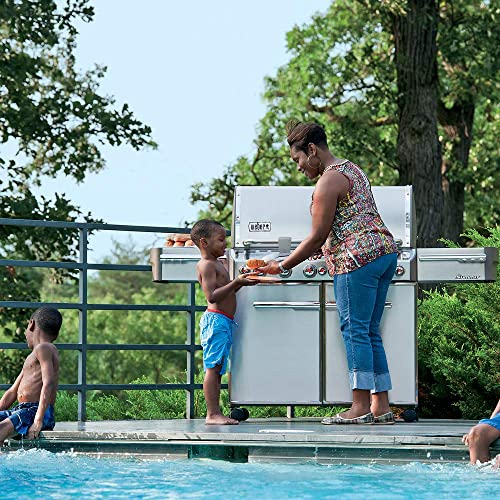 The 12 Best Stainless Steel Gas Grills of 2022 The 12 Best Stainless Steel Gas Grills of 2022