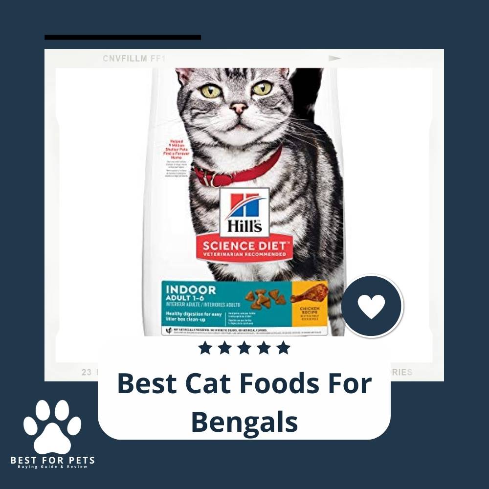 14 Best Cat Foods For Bengals in 2022
