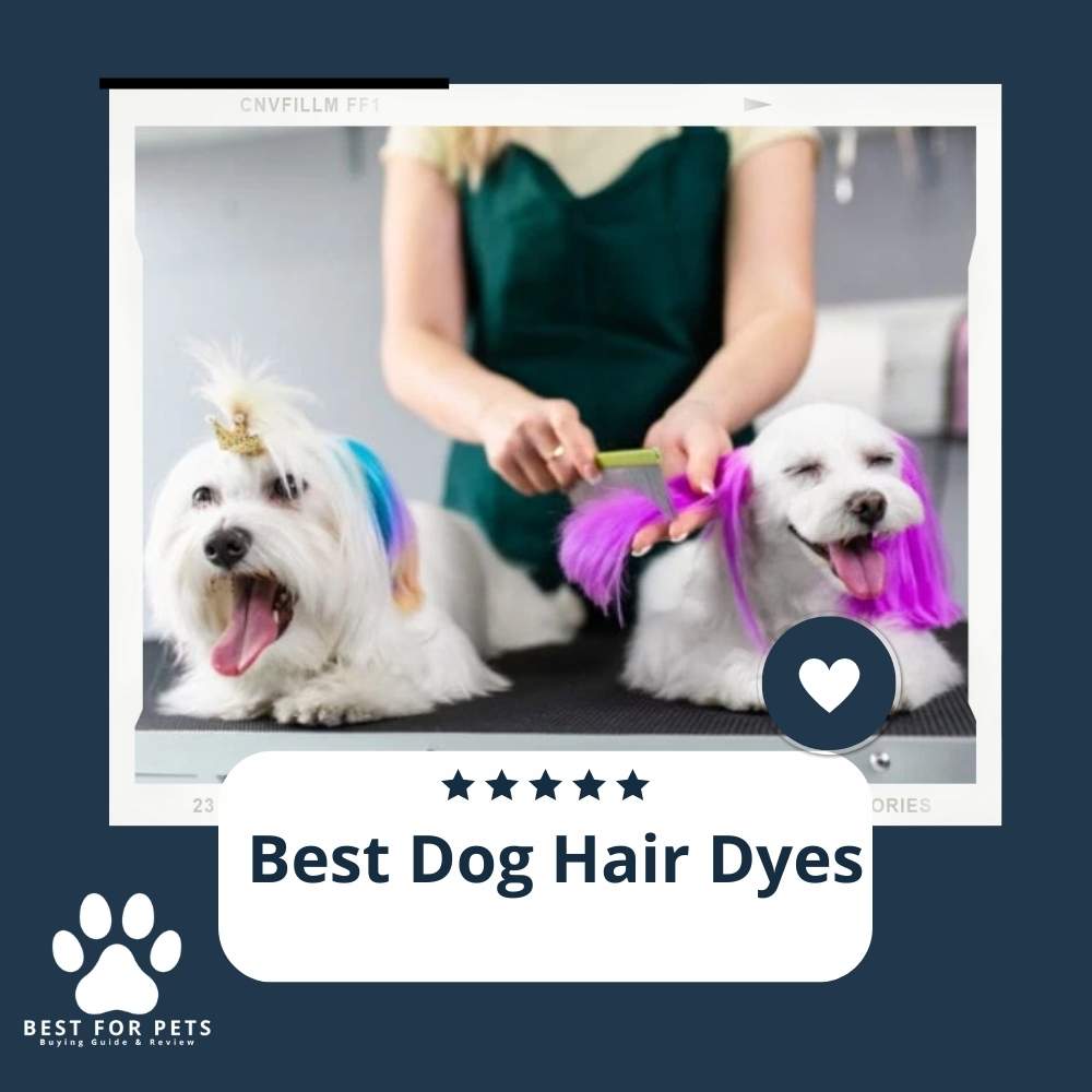 The 11 Best Dog Hair Dyes of 2023