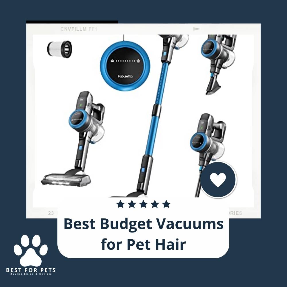 15 Best Budget Vacuums for Pet Hair in 2022 15 Best Budget Vacuums for Pet Hair in 2022