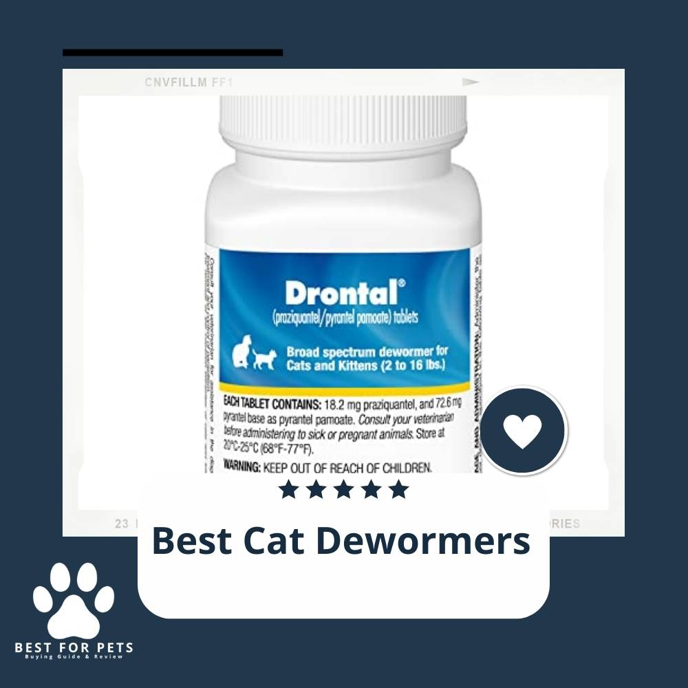 The 7 Best Cat Dewormers of 2023