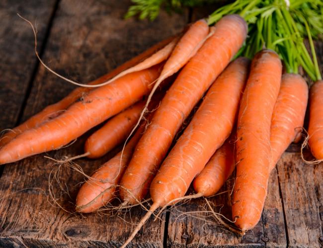 Best Tasting Carrots To Grow Of 2022 Best Tasting Carrots To Grow Of 2022