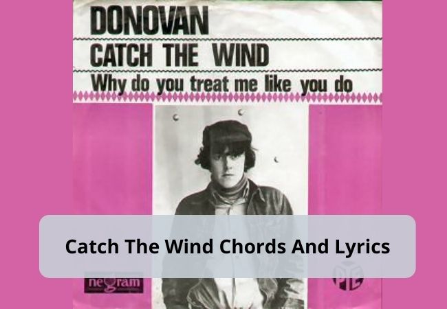 Catch The Wind Guitar Chords (The Simplest) Catch The Wind Guitar Chords (The Simplest)