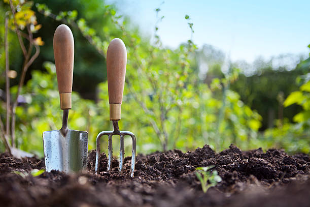 Reasons To Buy The Best Gardening Tools in 2022 Reasons To Buy The Best Gardening Tools in 2022