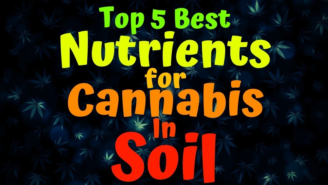 Best Nutrients For Cannabis In Soil of 2022 Best Nutrients For Cannabis In Soil of 2022