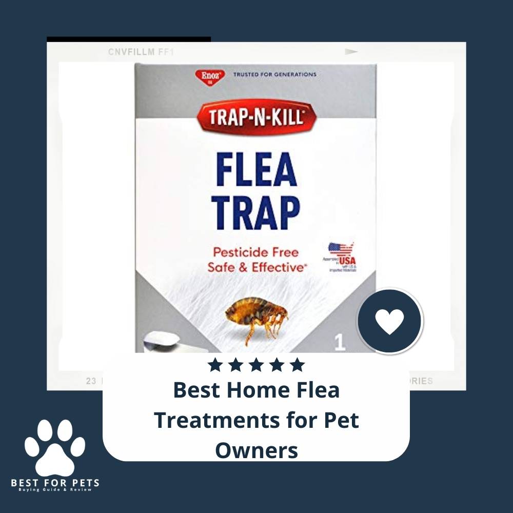 15 Best Home Flea Treatments for Pet Owners in 2022 15 Best Home Flea Treatments for Pet Owners in 2022