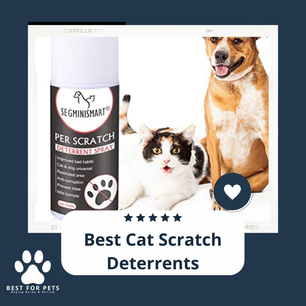 10 Best Cat Scratch Deterrents in 2023