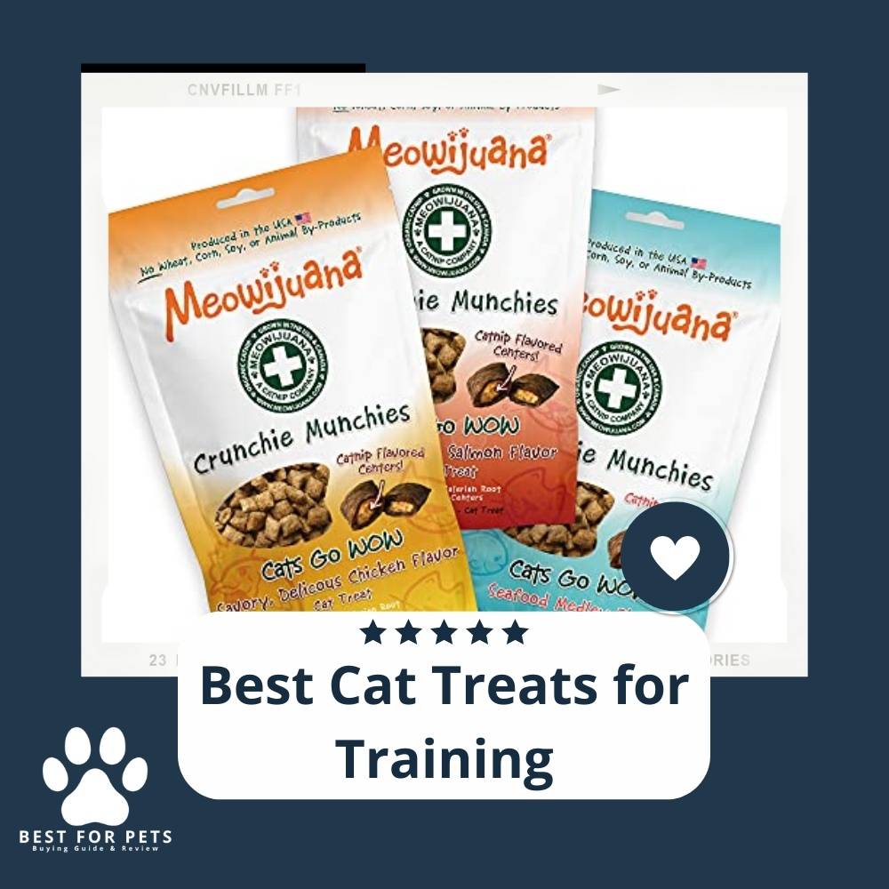 15 Best Cat Treats for Training in 2022 15 Best Cat Treats for Training in 2022