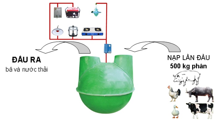 Cơ chế tạo khí hầm biogas