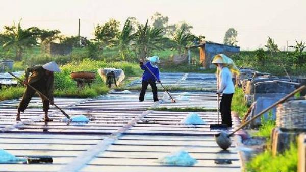 Cánh đồng muối Diêm Điền Thái Bình