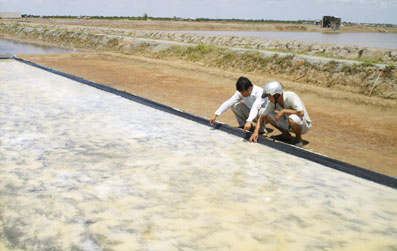 Sản xuất muối theo phương pháp lót bạt nhựa