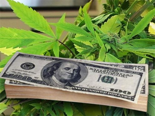 Former Drug Warriors Say Marijuana is Dangerous in Order to Get Rich Former Drug Warriors Say Marijuana is Dangerous in Order to Get Rich