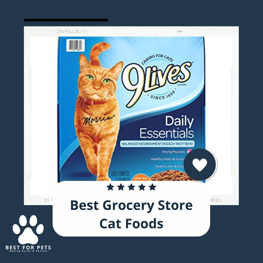 12 Best Grocery Store Cat Foods in 2022