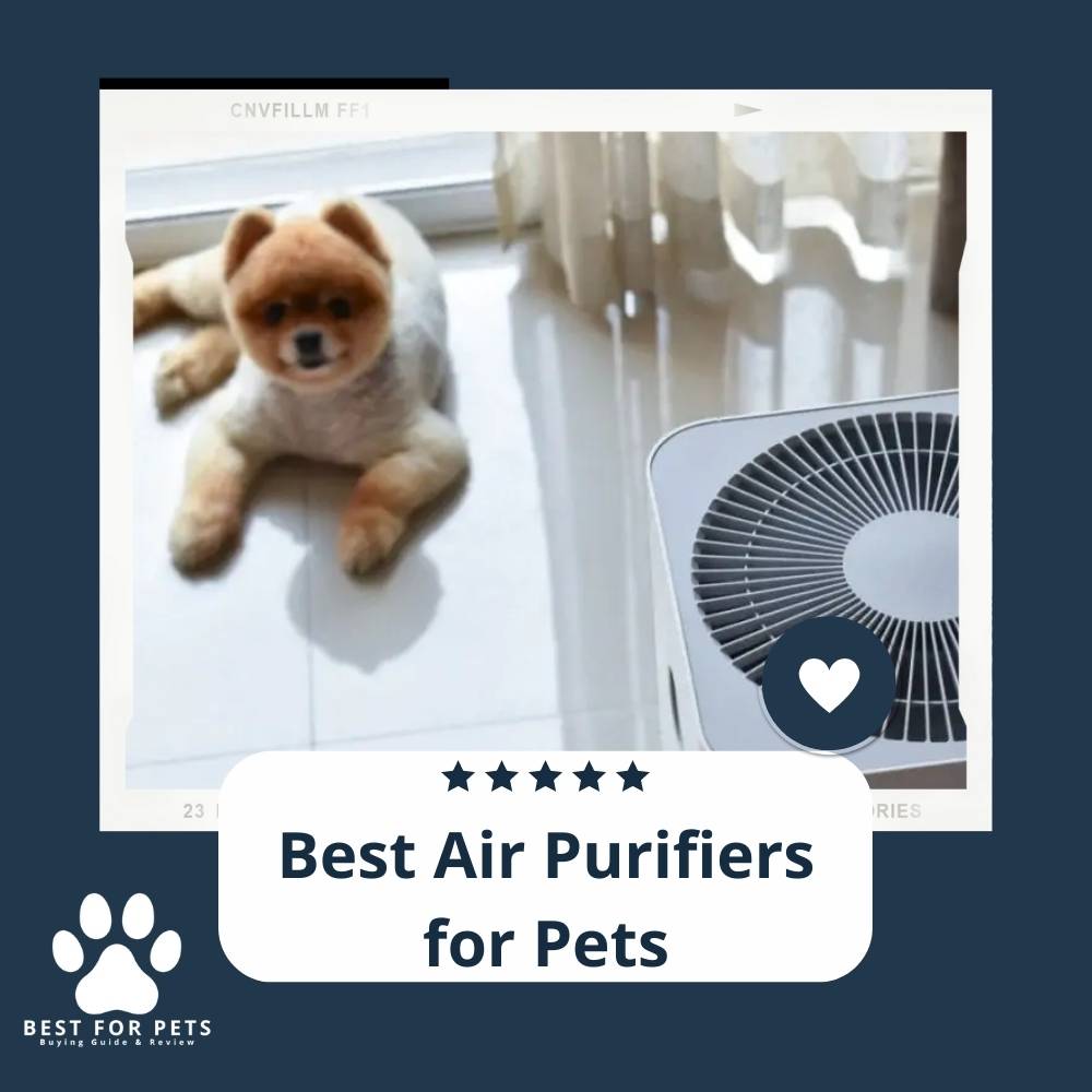 15 Best Air Purifiers for Pets in 2022 15 Best Air Purifiers for Pets in 2022