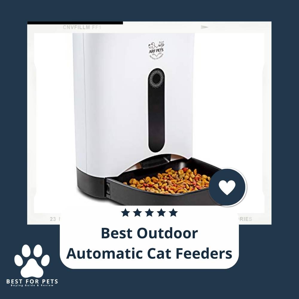 11 Best Outdoor Automatic Cat Feeders in 2022
