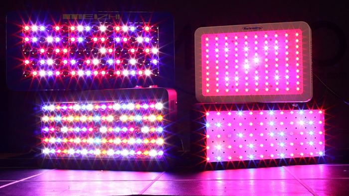 Best Cheap Grow Lights On Amazon Of 2022: Completed List Best Cheap Grow Lights On Amazon Of 2022: Completed List