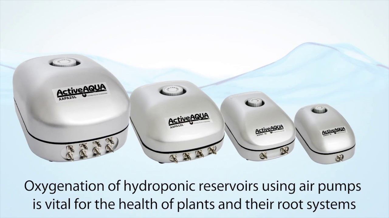 Best Air Pump For Hydroponics of 2022 Best Air Pump For Hydroponics of 2022