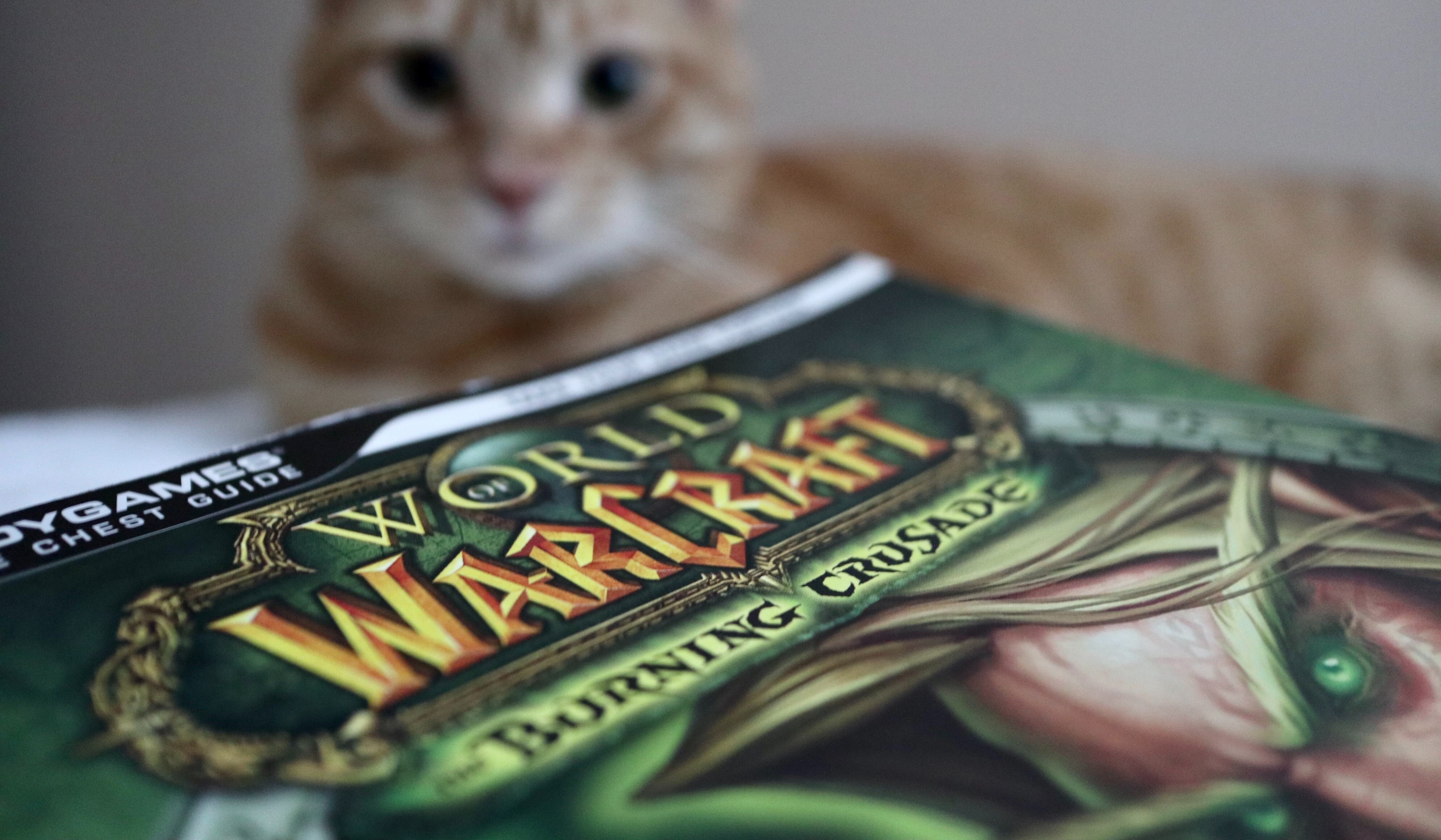 Warcraft 4: Release Date, Discussions and Rumors Warcraft 4: Release Date, Discussions and Rumors