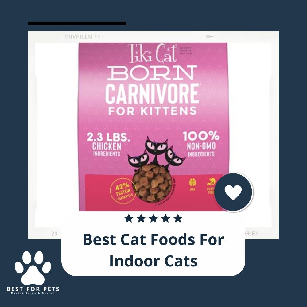 The 12 Best Cat Foods For Indoor Cats of 2023