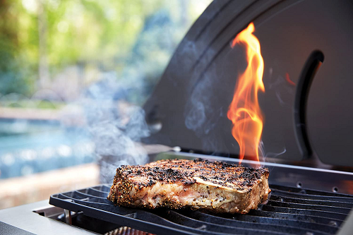 How To Buy a Natural Gas Grills– Buying Guide How To Buy a Natural Gas Grills– Buying Guide