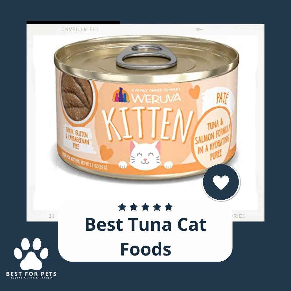 15 Best Tuna Cat Foods in 2022