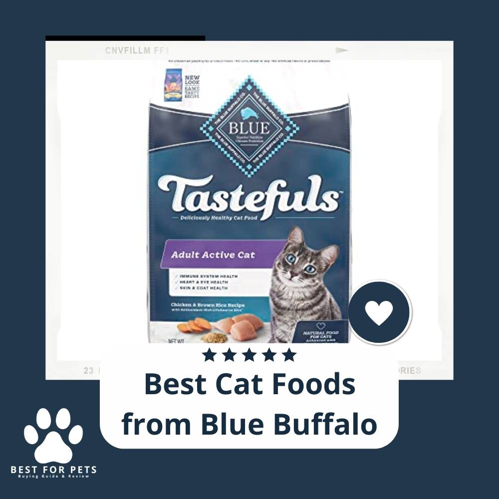 15 Best Cat Foods from Blue Buffalo in 2022