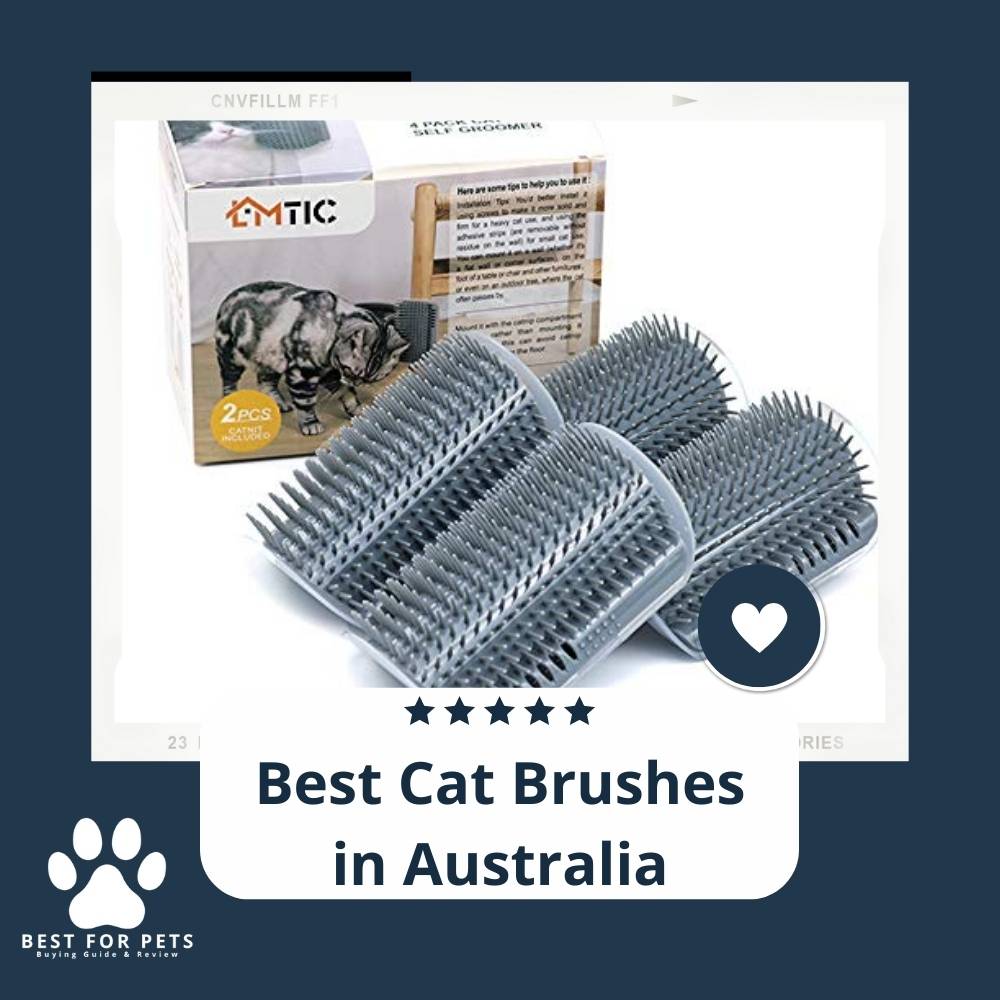15 Best Cat Brushes in Australia in 2022