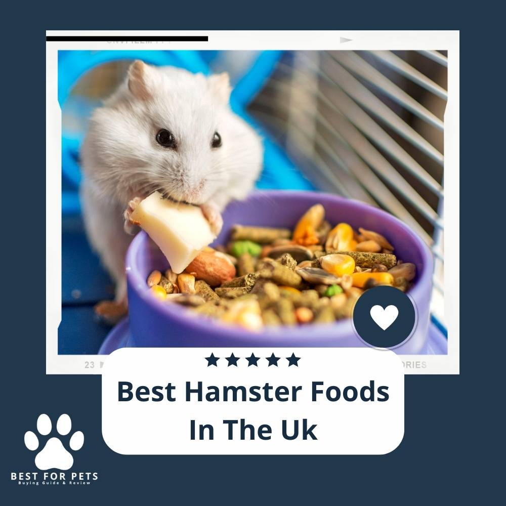 10 Best Hamster Foods In The Uk 2022 Reviews & Top Picks
