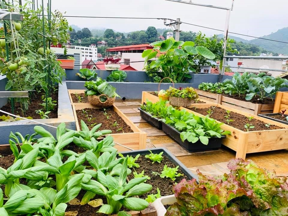 chống thấm vườn cây sân thượng hình 8