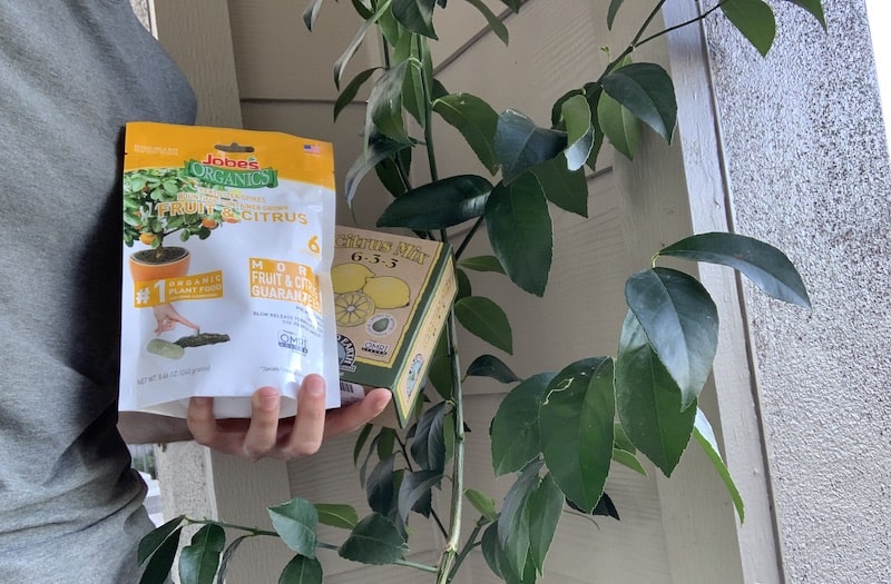 Best Fertilizer For Citrus Trees In Containers of 2022 Best Fertilizer For Citrus Trees In Containers of 2022