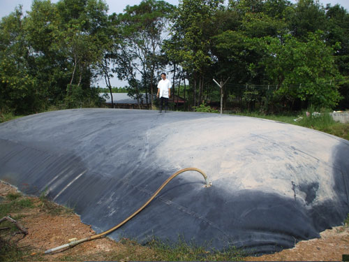 Hầm biogas HDPE có giá thành tương đối hợp lý